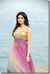 Samantha dookudu hot pics 5