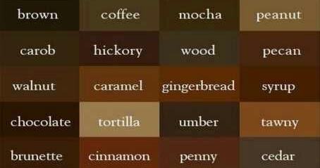 knowledge to elevate Untuk membuat warna  coklat  campuran 