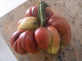 Tomate de Córdoba cultivado en La Regadera Verde