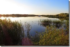 IMG_3440