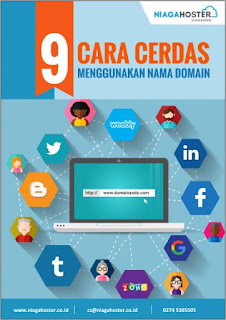 9 Cara Cerdas dan jitu untuk Menggunakan Nama Domain di website atau blog