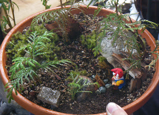 Minigarden / Miniature Garden / Saikei
