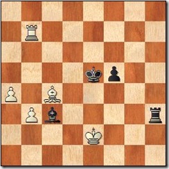 opposite_bishop_116