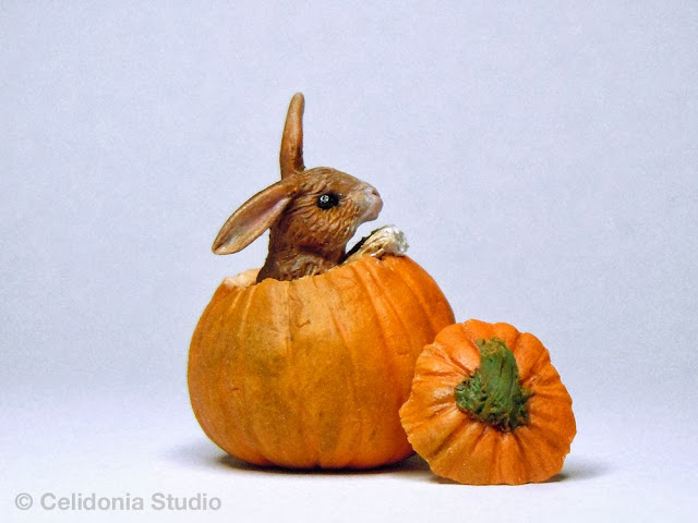 Miniature Rabbit in Pumpkin