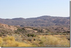 IMG_2975