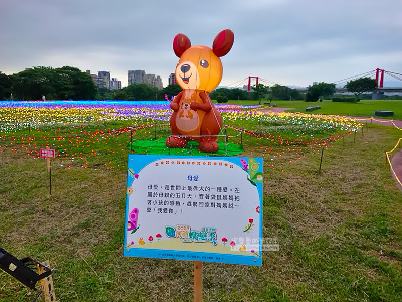 板橋蝴蝶公園,地景花海光雕,板橋景點,河濱蝶戀季