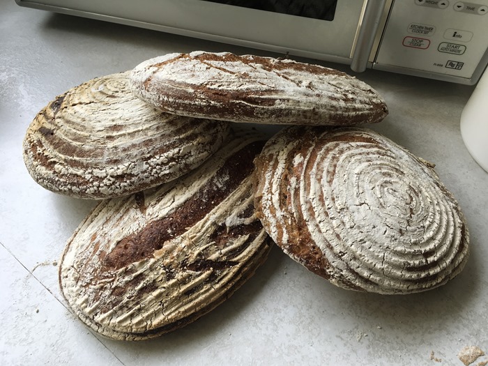 21 Sourdough 21-7-18