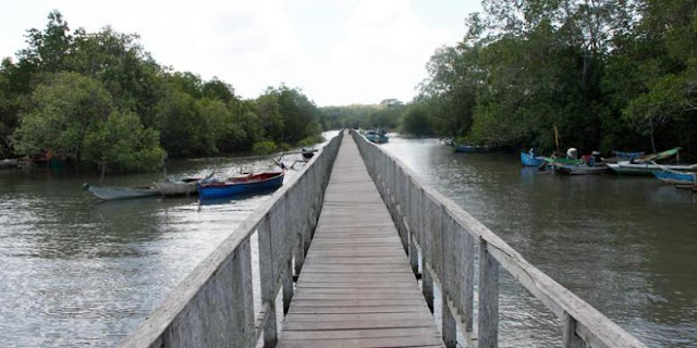 Hutan Mangrove Bedul