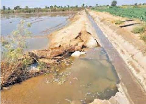 Damage to agriculture due to irrigation of land Its causes and prevention