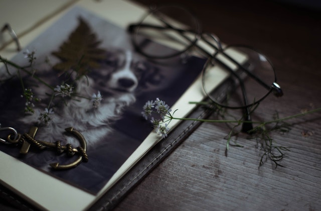 Touching Pet Memorial Idea To Honor Your Dog: Photobook