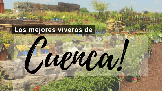 Comprar plantas Online en Cuenca, España