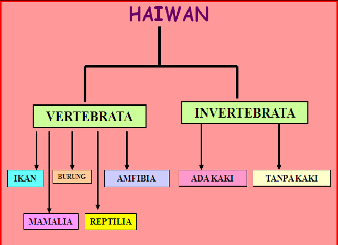 Nota Sains Menengah: 3.1.1: Pengkelasan Haiwan