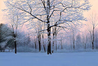 vistas-en-época-de-invierno-y-otoño-pinturas paisajes-invierno-otoño-pinturas