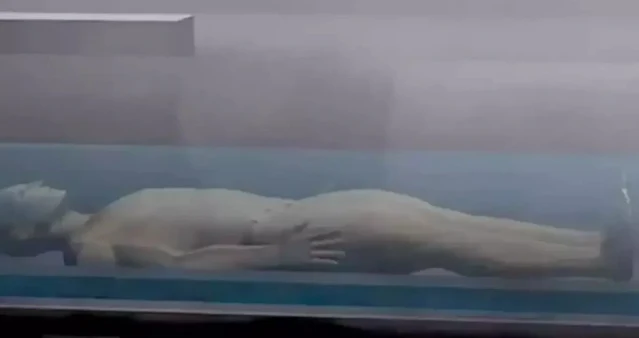 Agora você pode ser 'aquamado' em vez de enterrado ou cremado quando morrer