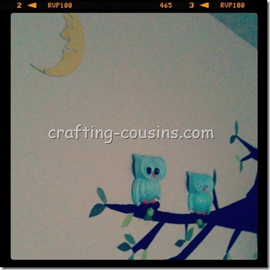 Owls