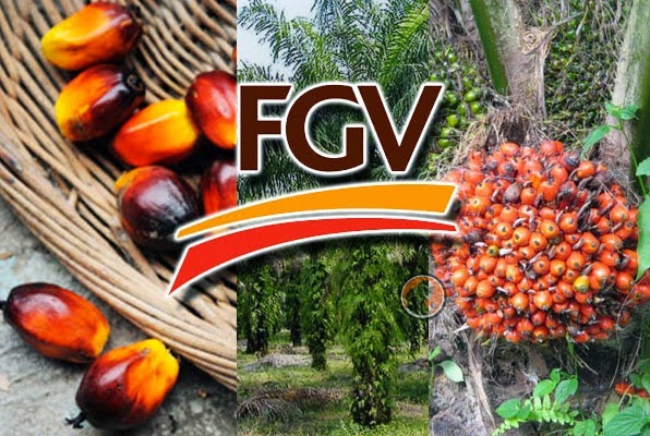 Reasons For The Share Price Of FGV Dropped Steeply - A Reply For @ ...