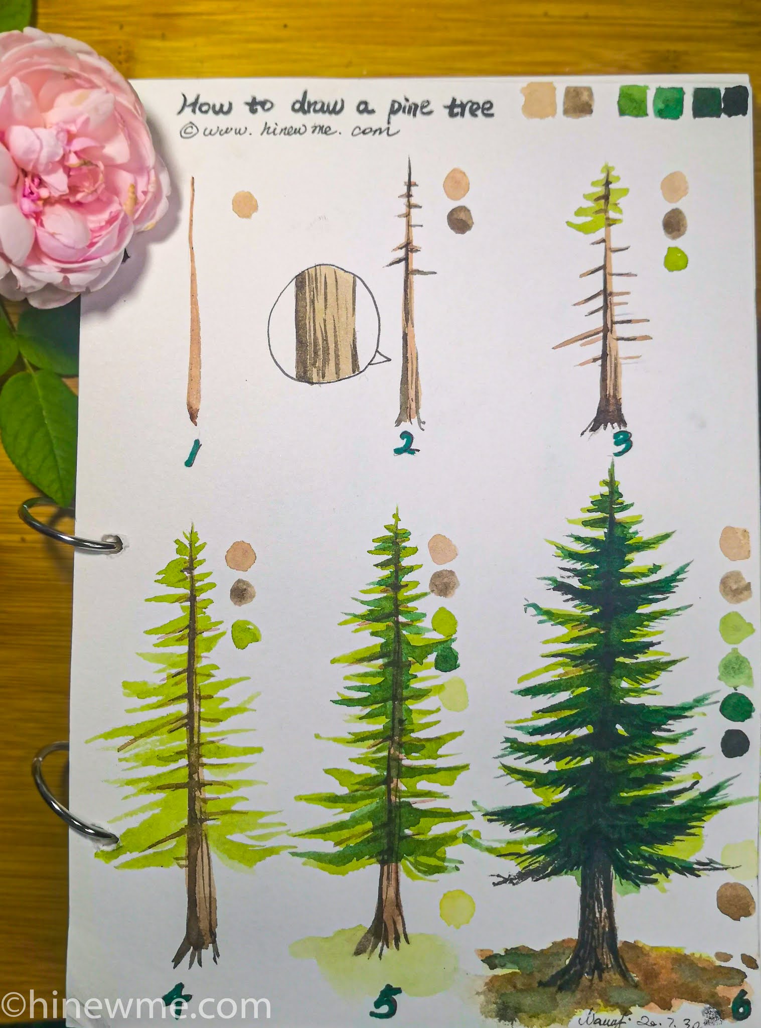 Two painting methods of pine trees. How to draw a tree? come to see my