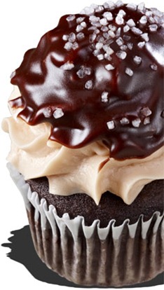 Jan CAN Cook Gigi s Chocolate Salted Caramel Cupcakes Jan CAN Cook Gigi s Chocolate Salted Caramel Cupcakes