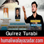 http://www.humaliwalayazadar.com/2016/09/gulrez-turabi-nohay-2017.html