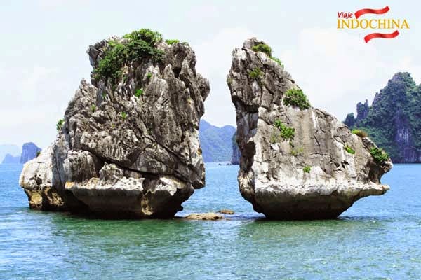 http://viajeindochina.com/tipo-de-tour/tours-en-vietnam/