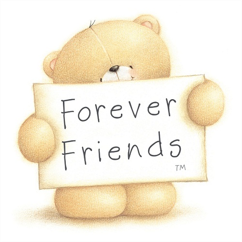 Friends Forever Teddy Bear Photo