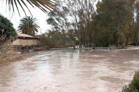 El Salado a su paso por 'Viveros Olmedo' (febrero 2010)