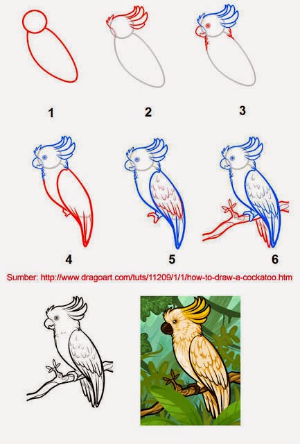  Cara  Menggambar  Berbagai Bentuk Burung  tahap demi tahap 