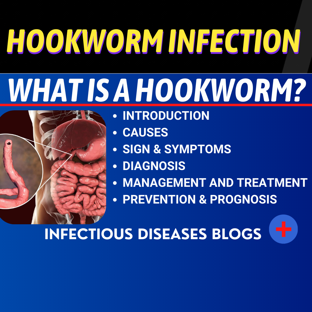 What is Hookworm infection?
