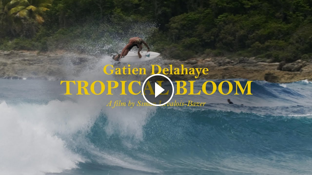 From The Caribbean To Indo Gatien Delahaye Tropical Bloom