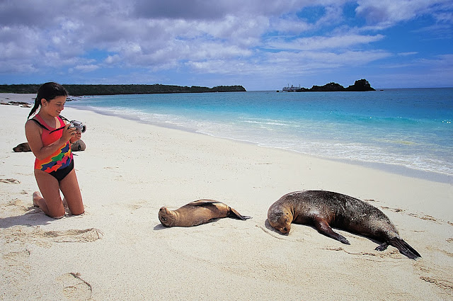 beach, galapagos, island, nature, sea, 