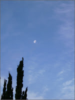 Morning moon