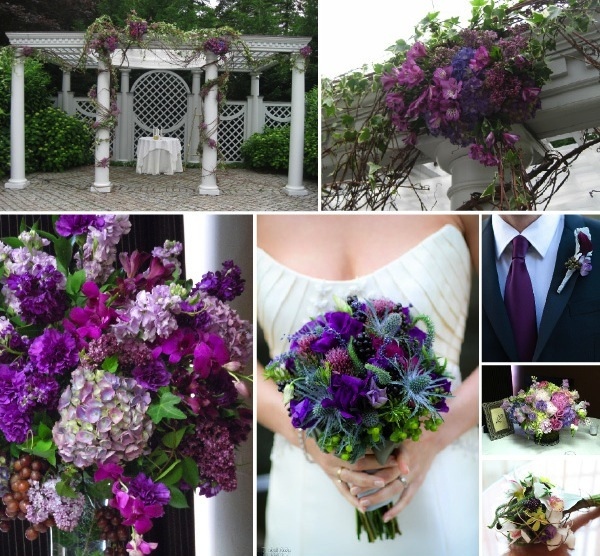  perfect Summer wedding backdrop Just looking for a pop of color Purple 