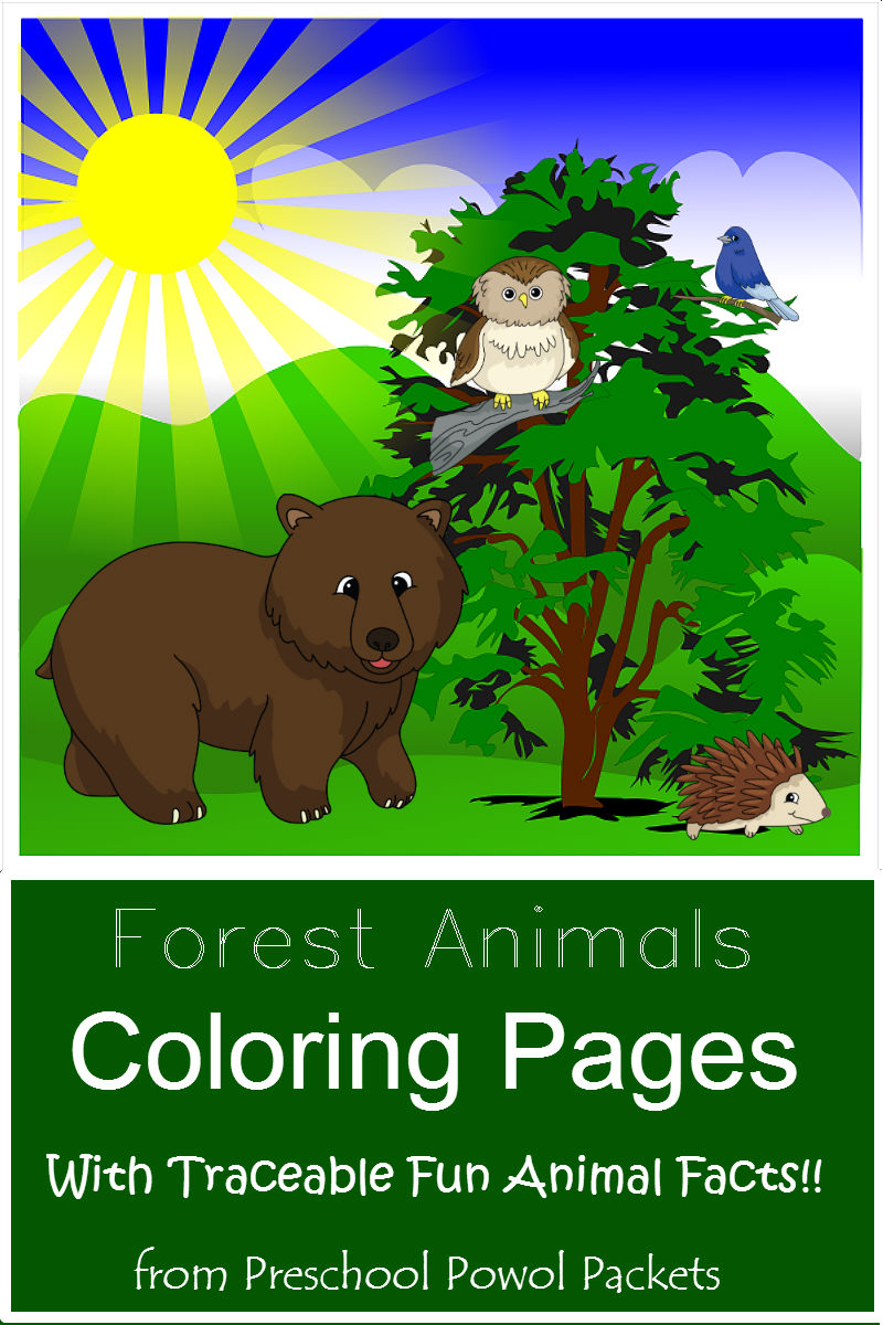 Download {FREE} Forest Animals Coloring Pages with Traceable Fun Facts! | Preschool Powol Packets