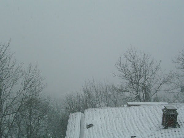 Roof in Istanbul snow storm