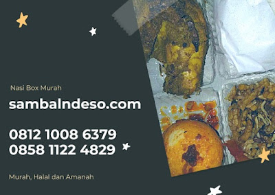 harga nasi box Bintaro kota Tangerang Selatan