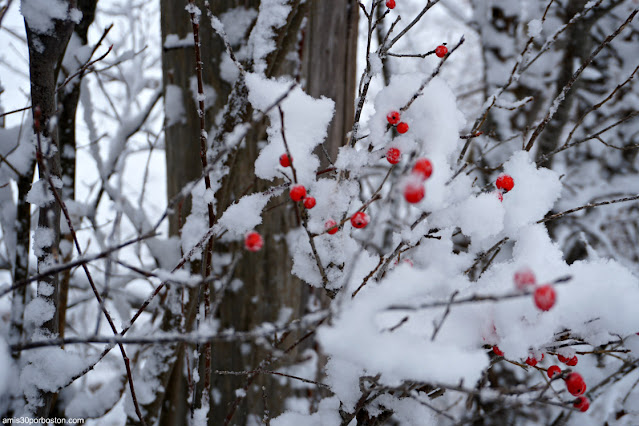 Paisajes de Invierno en New Hampshire