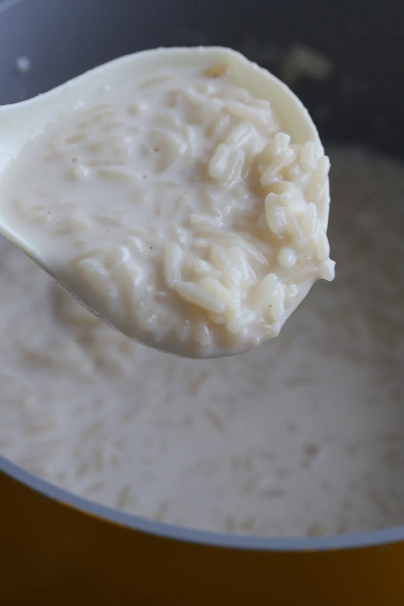 A spoonful of completed rice porridge showing the rice grains.