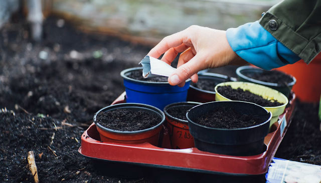 Planting seeds