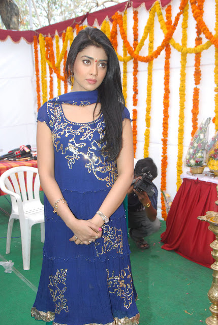 Shriya Saran Latest Pictures In Blue Suit