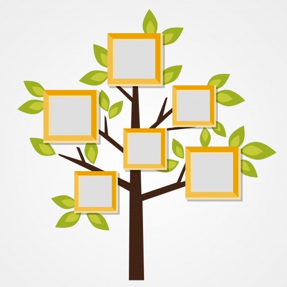  Gambar  Daun Untuk Pohon  Literasi Gambar  Bagian Tumbuhan