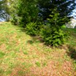 View album