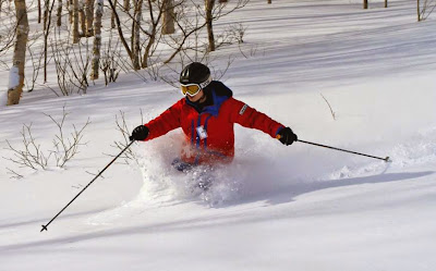 Hasil carian imej untuk permainan ski di korea