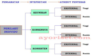 TEORI ATRIBUSI