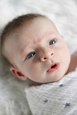 newborn, one month old, photography, photographer, Virginia photographer, family photographer, family photography, 