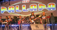 Lagu Caping Gunung - New Pallapa