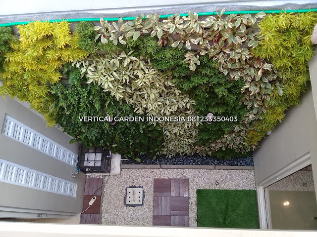 VERTICAL GARDEN INDONESIA SPESIALIS JASA PEMBUATAN VERTICAL GARDEN DI BSD DAN DI SELURUH WILAYAH BSD DENGAN TENAGA YANG PROFESIONAL DAN DAPAT DI PERCAYA YANG SELALU MENGUTAMAKAN SEBUAH MUTU DAN KUALITAS PEMASANGAN VERTICAL GARDEN/TAMAN DINDING, JASA TUKANG TAMAN VERTICAL BSD, JASA VERTICAL GARDEN BSD