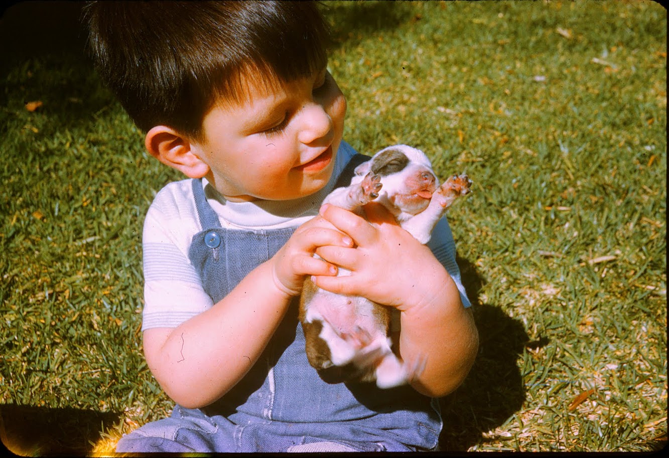 Puppy, 1967