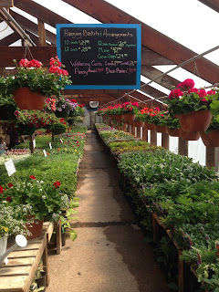 sandstone quarry greenhouse marianne's kitchen