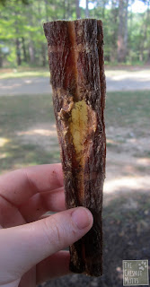 a beef weezer stick from jones natural chews co