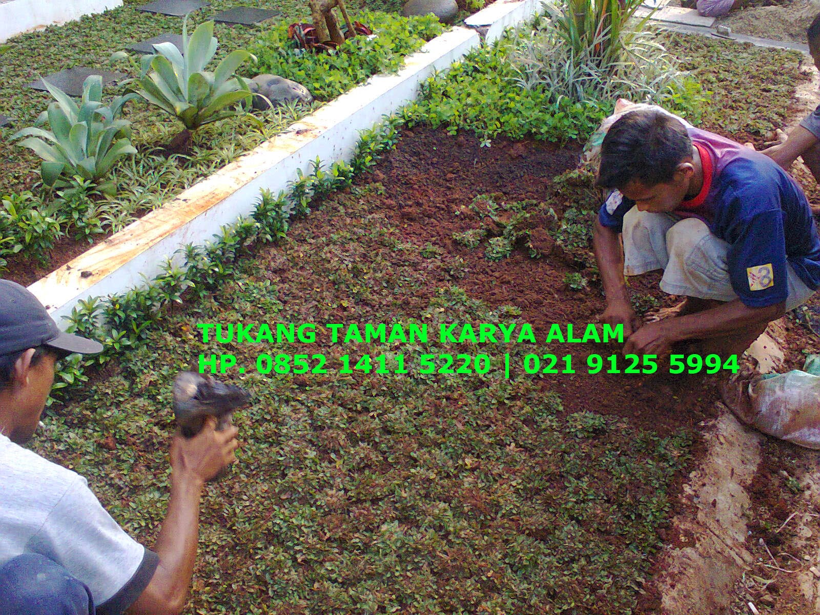 http://tukangtamankaryaalam.blogspot.com/2014/10/tukang-taman-jasa-pembuatan-renovasi-taman.html